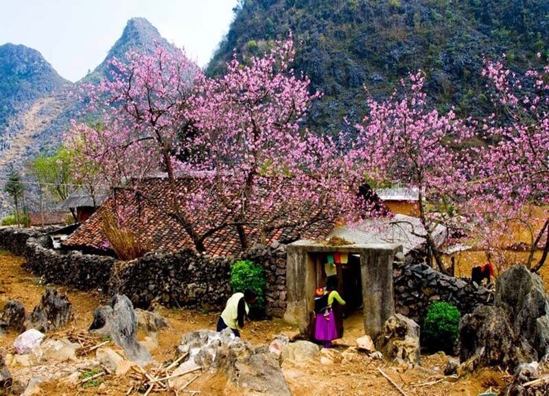 Capture the sustainable charm of Mai Chau’s nature